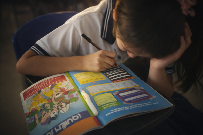 Sector Educativo